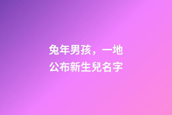 兔年男孩，一地公布新生兒名字-第1張-觀點(diǎn)-玄機(jī)派