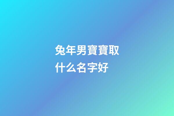 兔年男寶寶取什么名字好(兔年男寶寶取什么名字好一點)-第1張-男孩起名-玄機派
