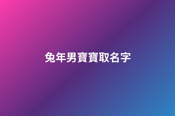 兔年男寶寶取名字(2023年最旺男孩名字)-第1張-男孩起名-玄機派