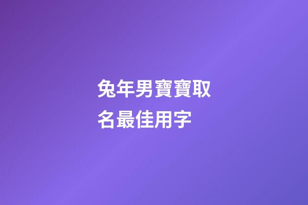 兔年男寶寶取名最佳用字(朱姓兔年男寶寶取名最佳用字)-第1張-男孩起名-玄機派