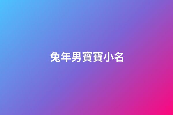 兔年男寶寶小名(兔年男孩小名叫什么好聽)-第1張-男孩起名-玄機派