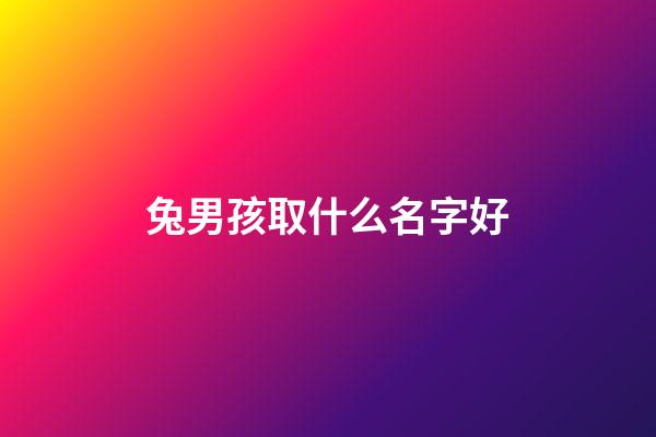 兔男孩取什么名字好(兔男寶寶名字大全2011)-第1張-男孩起名-玄機派