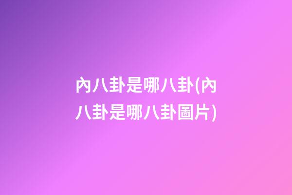 內八卦是哪八卦(內八卦是哪八卦圖片)