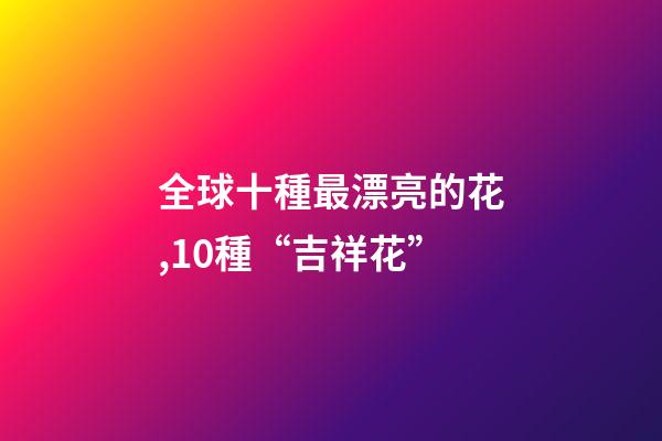 全球十種最漂亮的花,10種“吉祥花”-第1張-觀點-玄機派