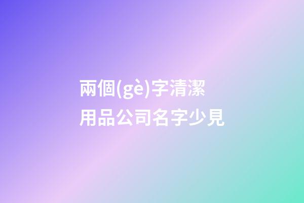 兩個(gè)字清潔用品公司名字少見-第1張-公司起名-玄機(jī)派