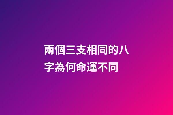 兩個三支相同的八字為何命運不同