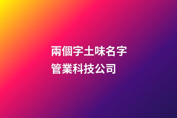 兩個字土味名字管業科技公司-第1張-公司起名-玄機派