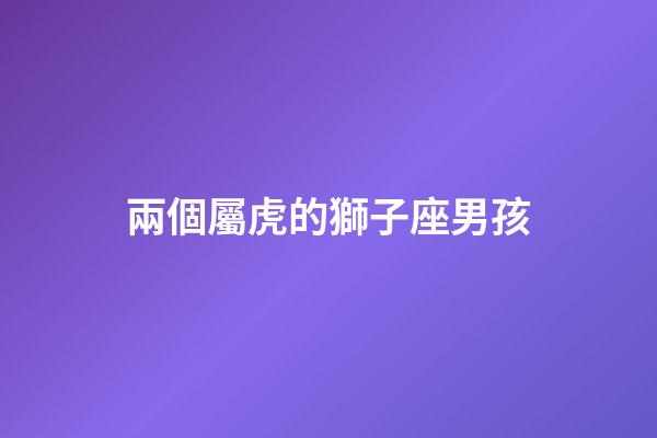 兩個屬虎的獅子座男孩-第1張-星座運勢-玄機派