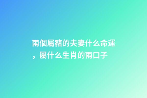 兩個屬豬的夫妻什么命運，屬什么生肖的兩口子-第1張-觀點-玄機派