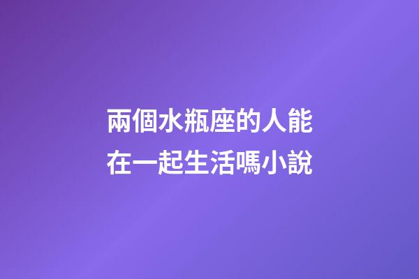 兩個水瓶座的人能在一起生活嗎小說-第1張-星座運勢-玄機派