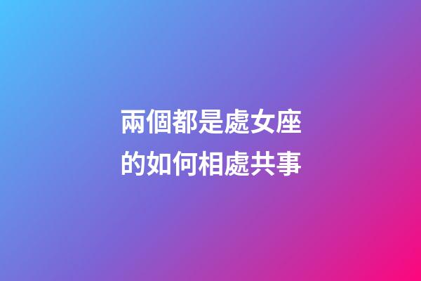 兩個都是處女座的如何相處共事-第1張-星座運勢-玄機派