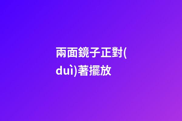兩面鏡子正對(duì)著擺放