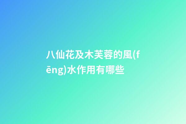 八仙花及木芙蓉的風(fēng)水作用有哪些?