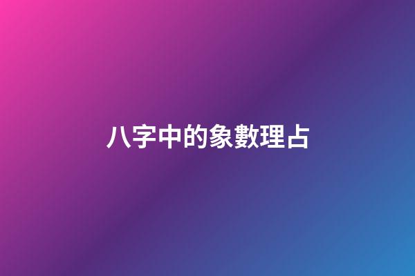 八字中的象數理占