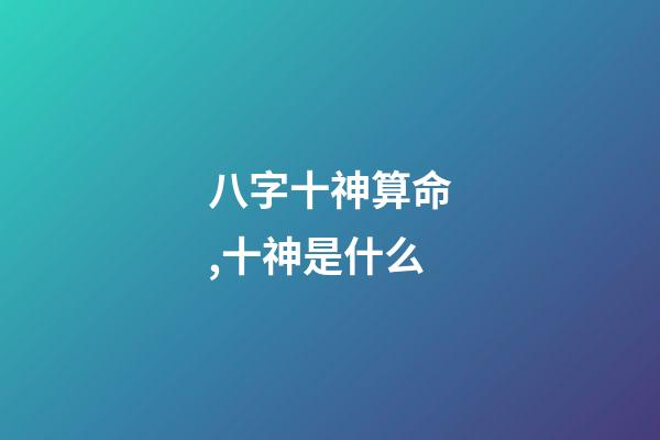 八字十神算命,十神是什么