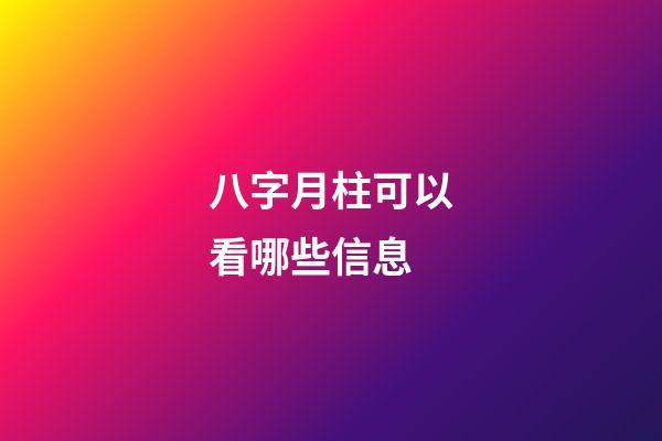 八字月柱可以看哪些信息