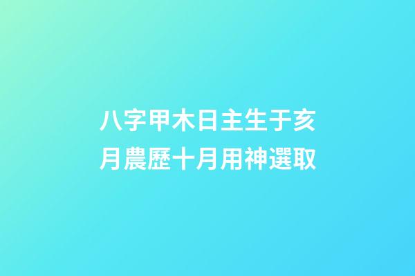 八字甲木日主生于亥月農歷十月用神選取