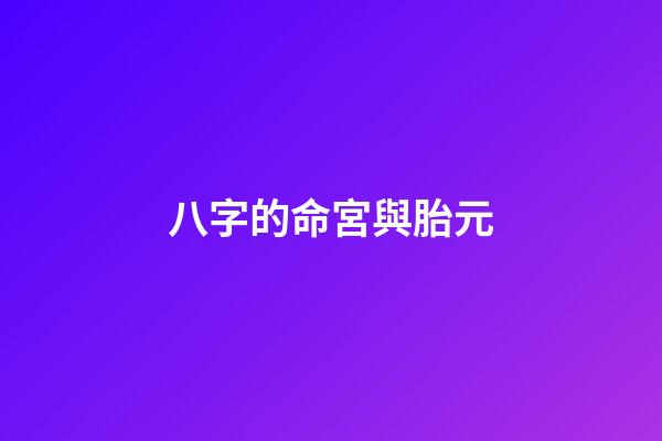 八字的命宮與胎元