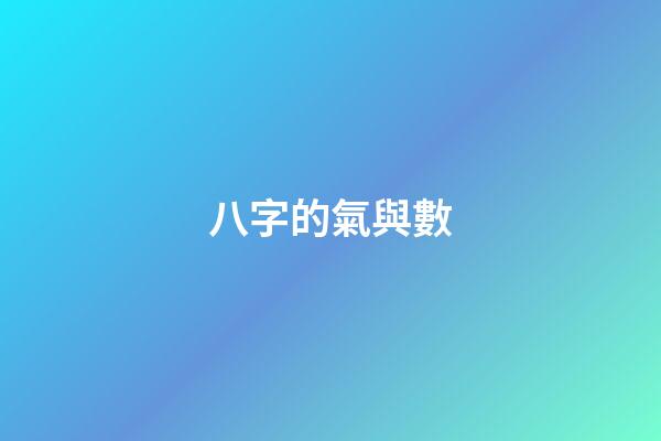八字的氣與數