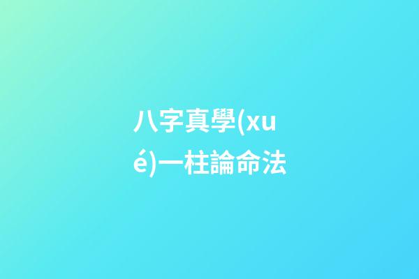 八字真學(xué)一柱論命法