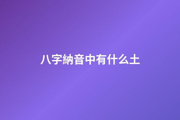 八字納音中有什么土