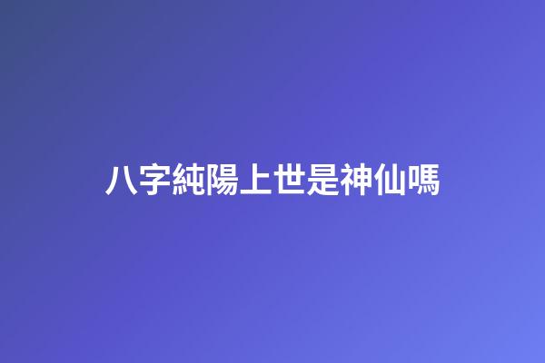 八字純陽上世是神仙嗎
