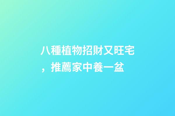八種植物招財又旺宅，推薦家中養一盆