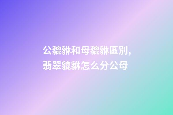 公貔貅和母貔貅區別,翡翠貔貅怎么分公母-第1張-觀點-玄機派