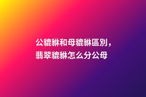 公貔貅和母貔貅區別，翡翠貔貅怎么分公母-第1張-觀點-玄機派
