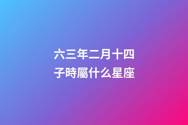 六三年二月十四子時屬什么星座-第1張-星座運勢-玄機派