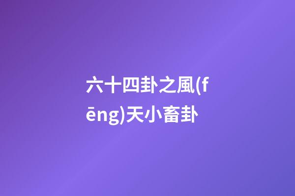 六十四卦之風(fēng)天小畜卦