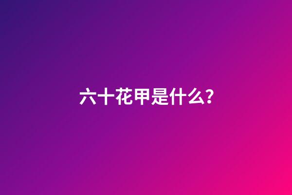 六十花甲是什么？