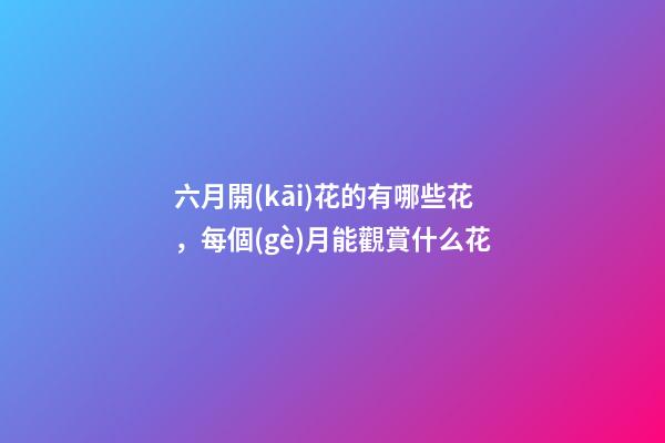 六月開(kāi)花的有哪些花，每個(gè)月能觀賞什么花-第1張-觀點(diǎn)-玄機(jī)派