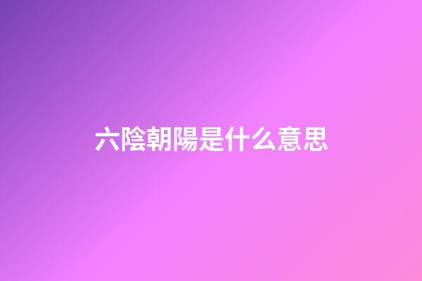 六陰朝陽是什么意思