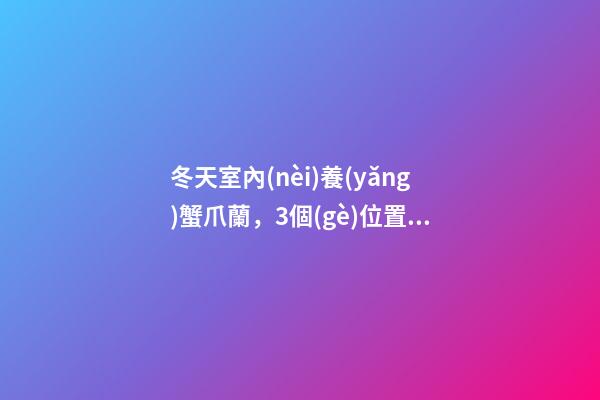 冬天室內(nèi)養(yǎng)蟹爪蘭，3個(gè)位置不宜擺放，否則會(huì)對(duì)植株造成傷害