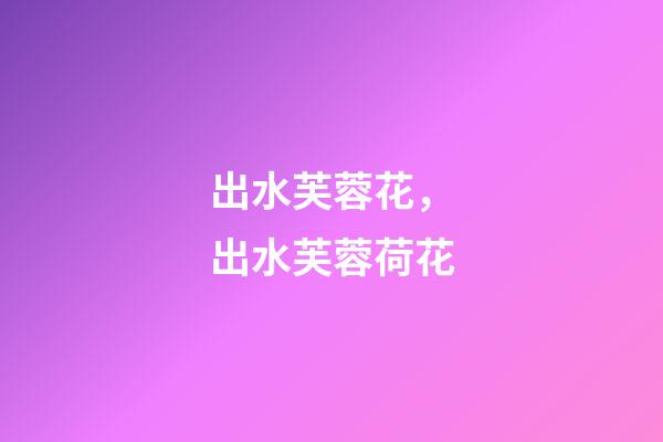 出水芙蓉花，出水芙蓉荷花