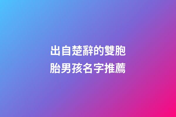 出自楚辭的雙胞胎男孩名字推薦(楚辭男寶寶)-第1張-男孩起名-玄機派