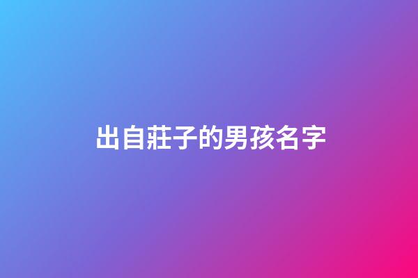出自莊子的男孩名字(莊子里好聽的男孩名字)