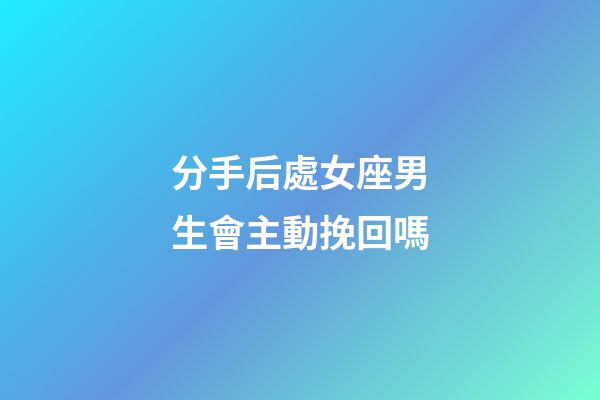 分手后處女座男生會主動挽回嗎-第1張-星座運勢-玄機派