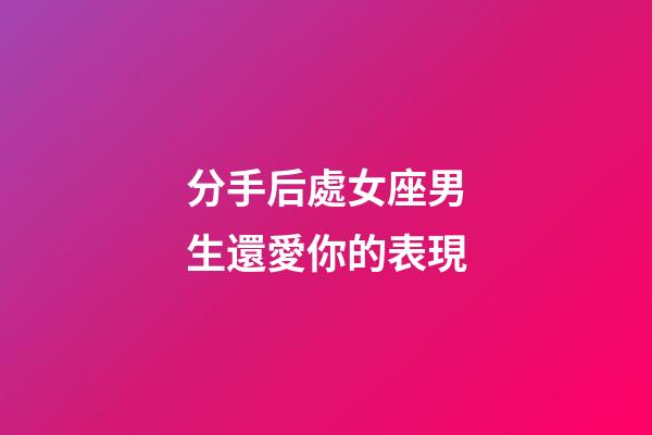 分手后處女座男生還愛你的表現-第1張-星座運勢-玄機派