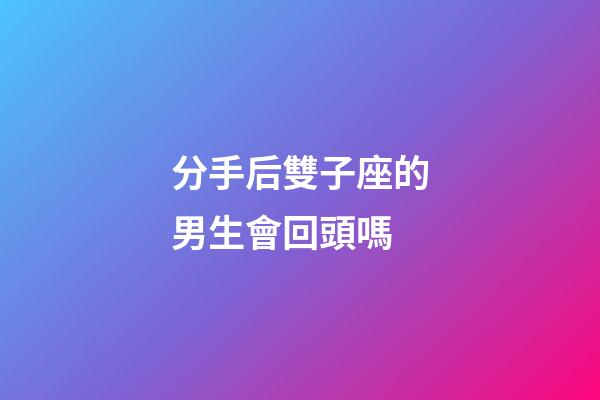 分手后雙子座的男生會回頭嗎-第1張-星座運勢-玄機派