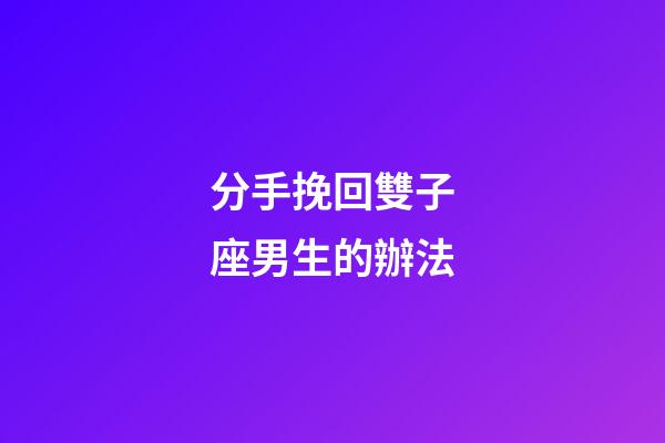 分手挽回雙子座男生的辦法-第1張-星座運勢-玄機派