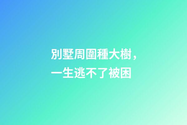別墅周圍種大樹，一生逃不了被困