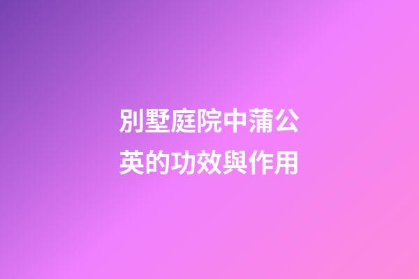 別墅庭院中蒲公英的功效與作用