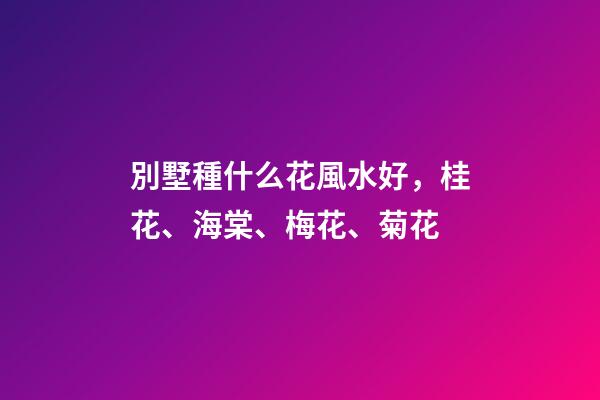 別墅種什么花風水好，桂花、海棠、梅花、菊花
