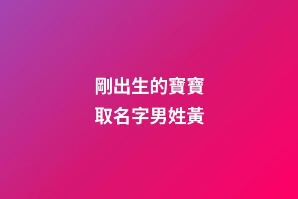 剛出生的寶寶取名字男姓黃(剛出生的寶寶取名字男姓黃怎么取)-第1張-男孩起名-玄機(jī)派