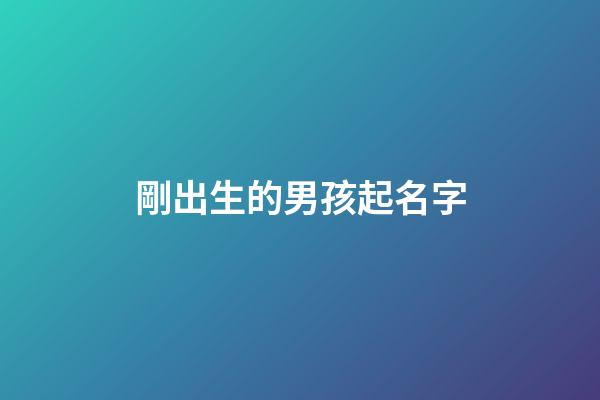 剛出生的男孩起名字(剛出生的男孩取名字)-第1張-男孩起名-玄機(jī)派