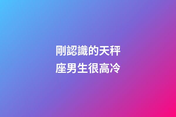 剛認識的天秤座男生很高冷-第1張-星座運勢-玄機派