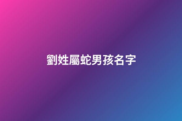 劉姓屬蛇男孩名字(劉姓男孩名字大全2023屬鼠免費)-第1張-男孩起名-玄機派