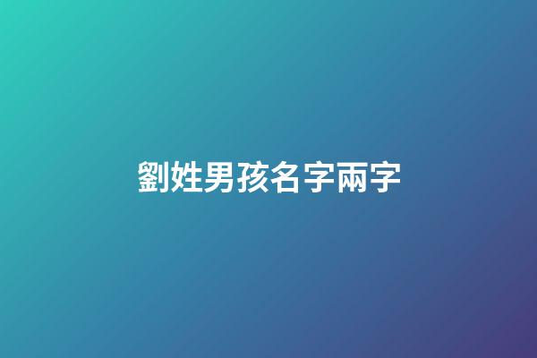 劉姓男孩名字兩字(劉姓男孩名字兩個字的名字)-第1張-男孩起名-玄機派